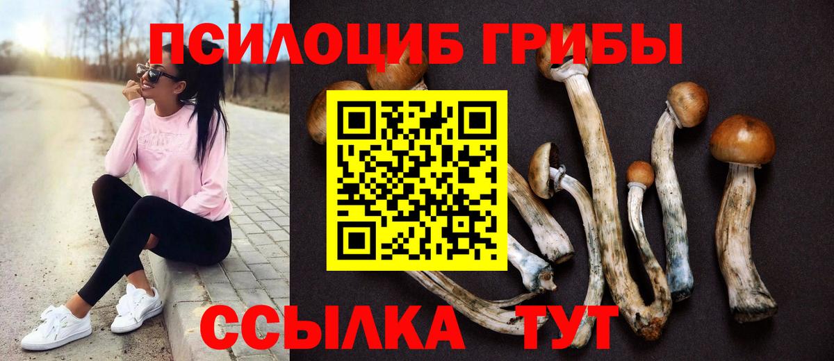 Кольчугино  Галлюциногенные грибы мицелий  Вход с VPN  закладки  Галлюциногенные грибы мухоморы 
